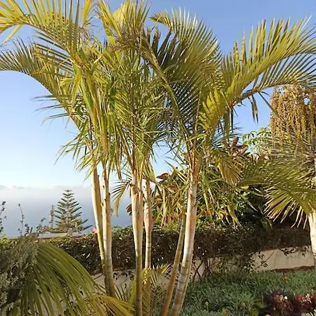 Casa Puntilla Del Sol - Well-kept Flat, Great Sea View La Matanza de Acentejo